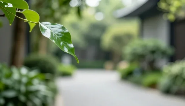 需求变更中的运维服务场景分析